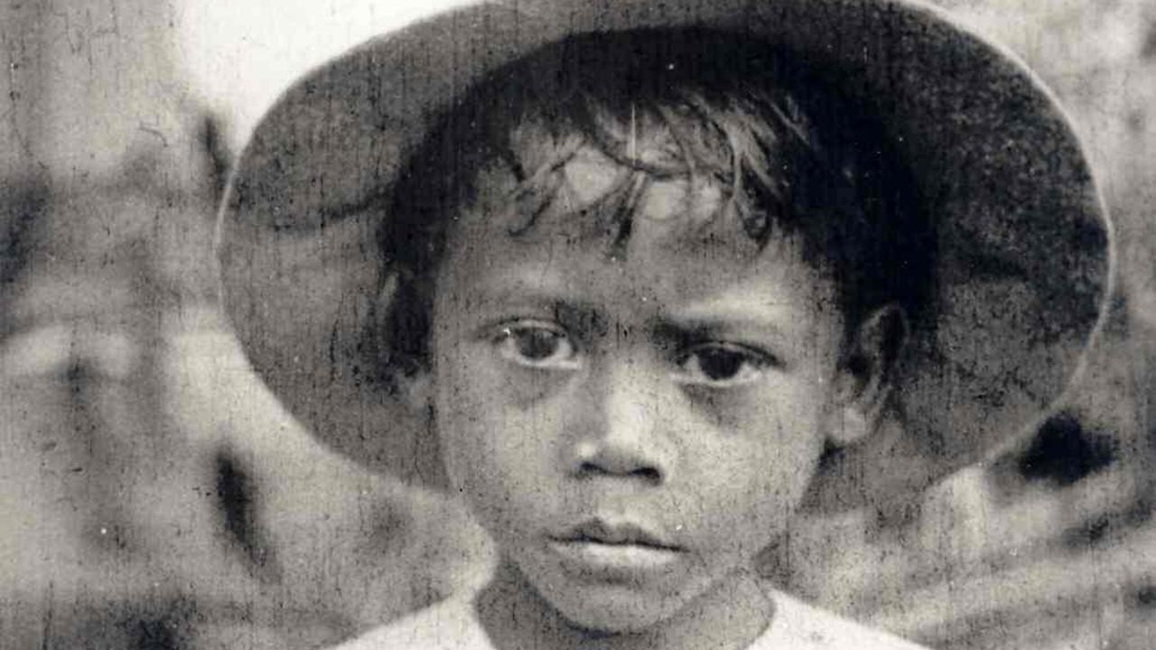 Filme: "Mother Dao, the Turtlelike" (1995), Vincent Monnikendam