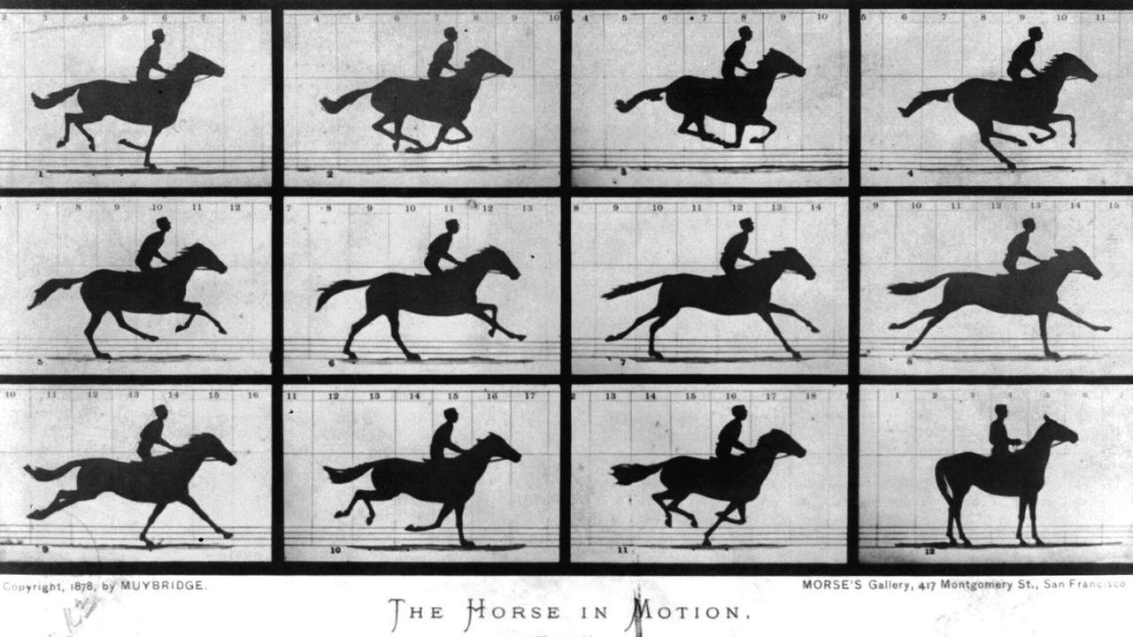 Filme: "Sallie Gardner at a Gallop" (1878), Eadweard Muybridge