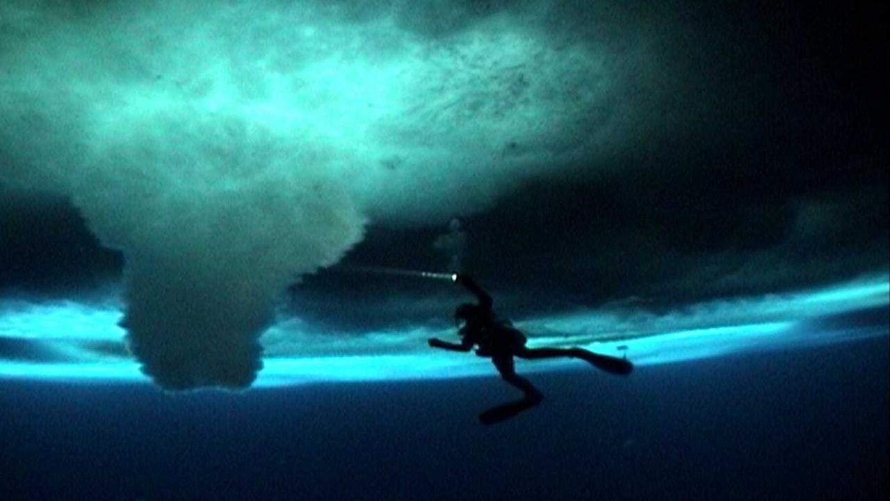 Filme: "The Wild Blue Yonder" (2005), Werner Herzog