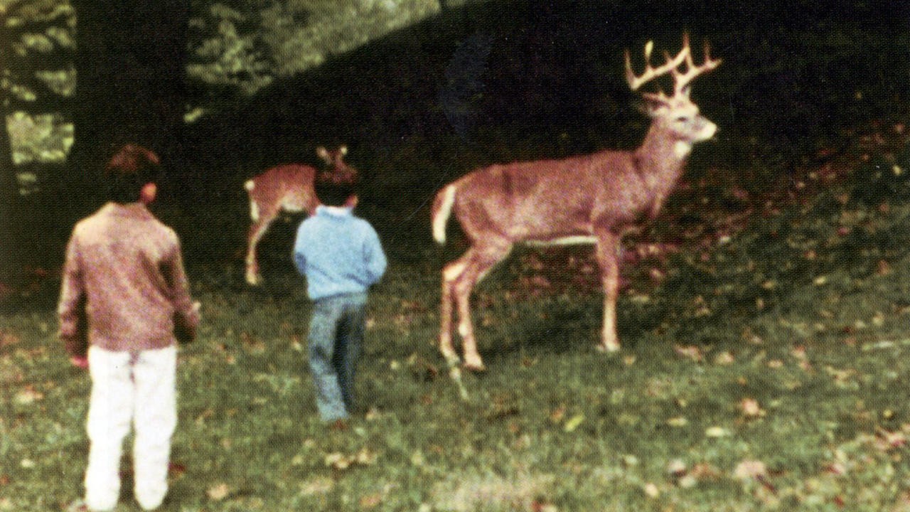 Filme: "The Hart of London" (1970), Jack Chambers