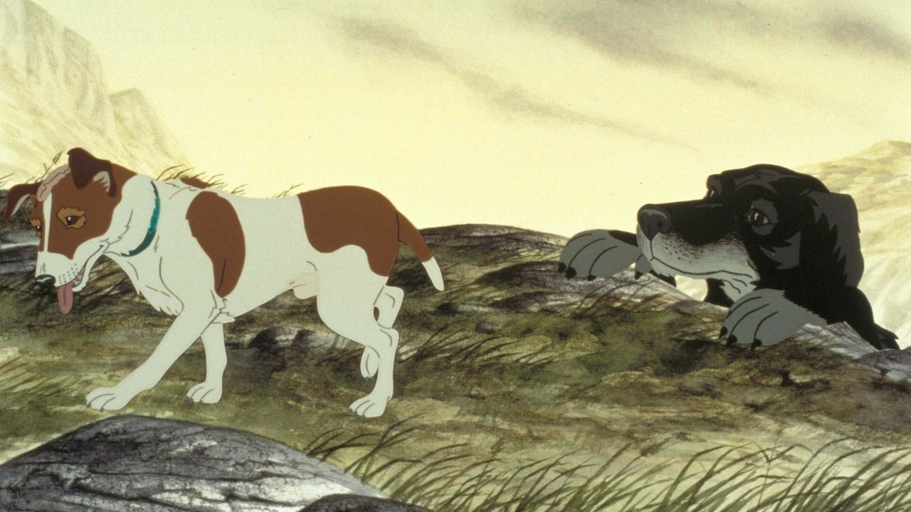 Filme: "The Plague Dogs" (1982), Martin Rosen