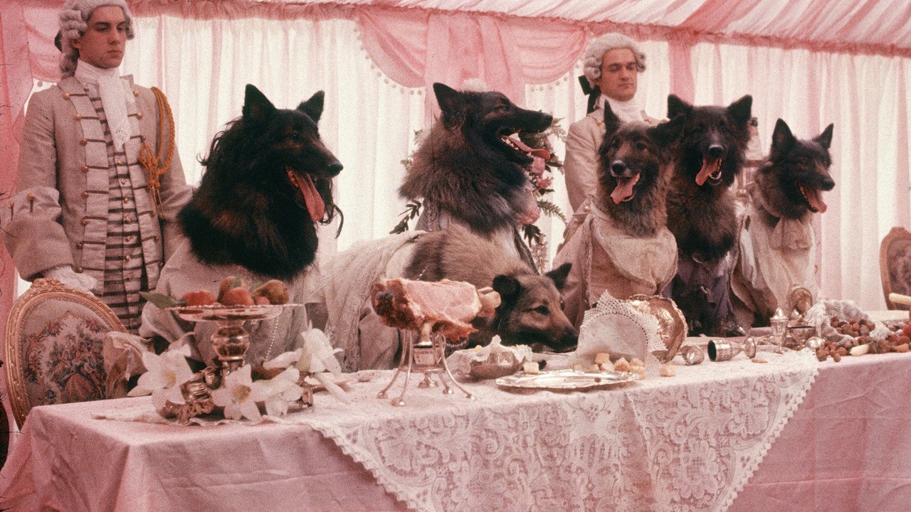 Filme: "A Companhia dos Lobos" (1984), Neil Jordan