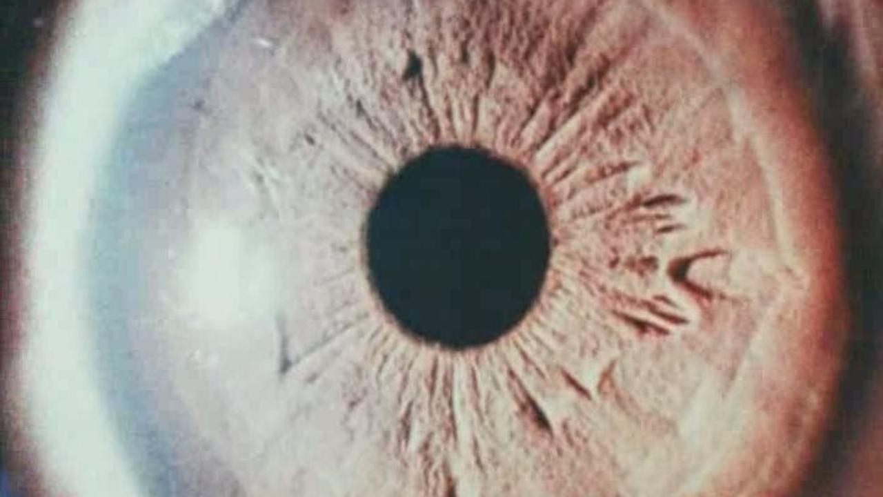 Filme: "Film ist. 1-6" (1998), Gustav Deutsch