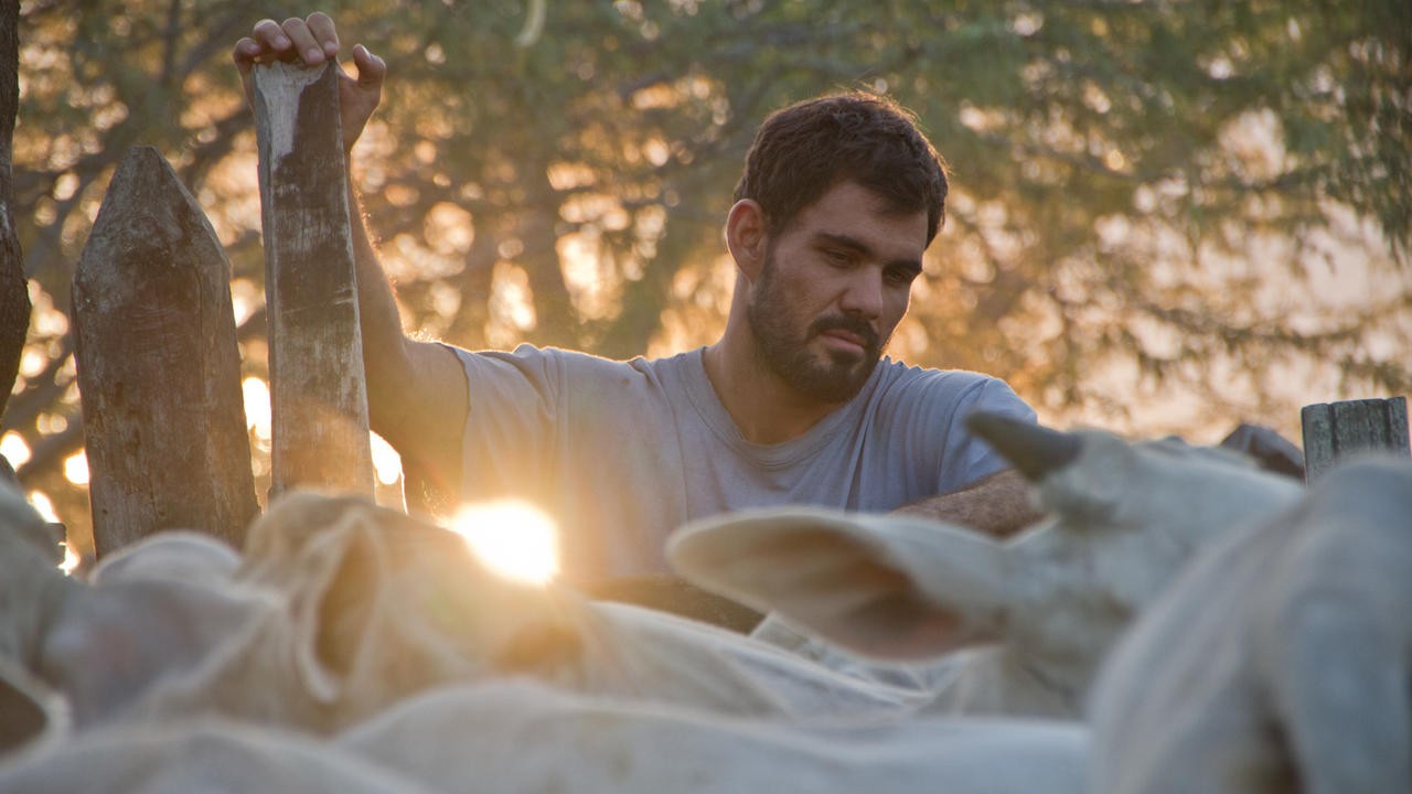 Filme: "Neon Bull" (2015), Gabriel Mascaro