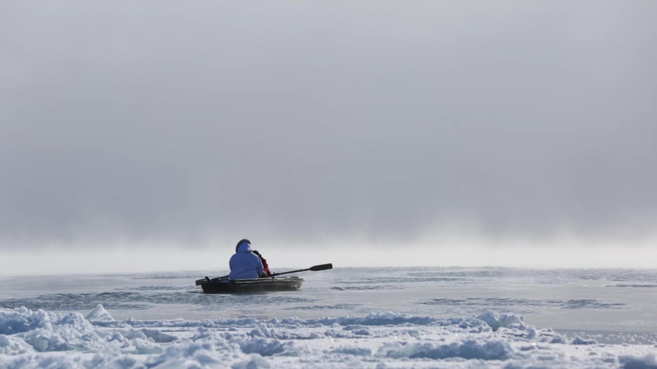 Filme: "Angry Inuk" (2016), Alethea Arnaquq-Baril