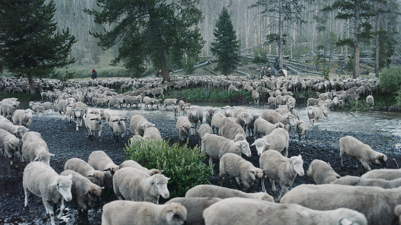 Filme: "Sweetgrass" (2009), Ilisa Barbash, Lucien Castaing-Taylor