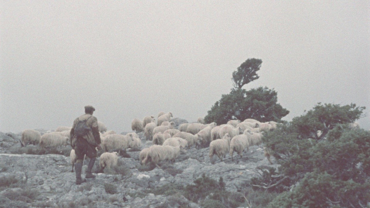 Filme: "Shepherds of Orgosolo" (1958), Vittorio De Seta