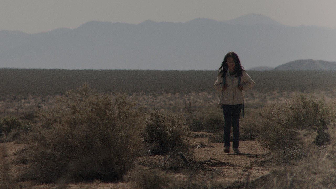 Filme: "Lake Los Angeles" (2014), Mike Ott