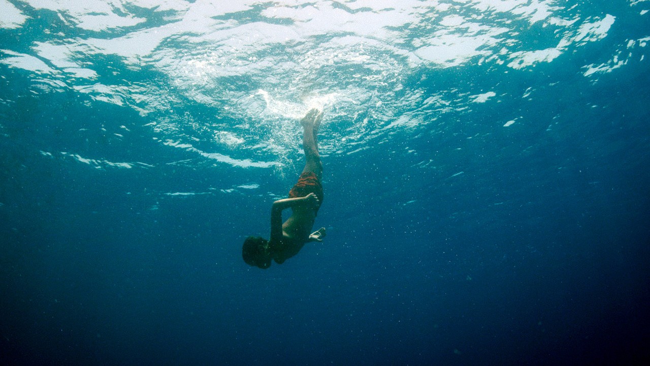 Filme: "Evolution" (2015), Lucile Hadzihalilovic