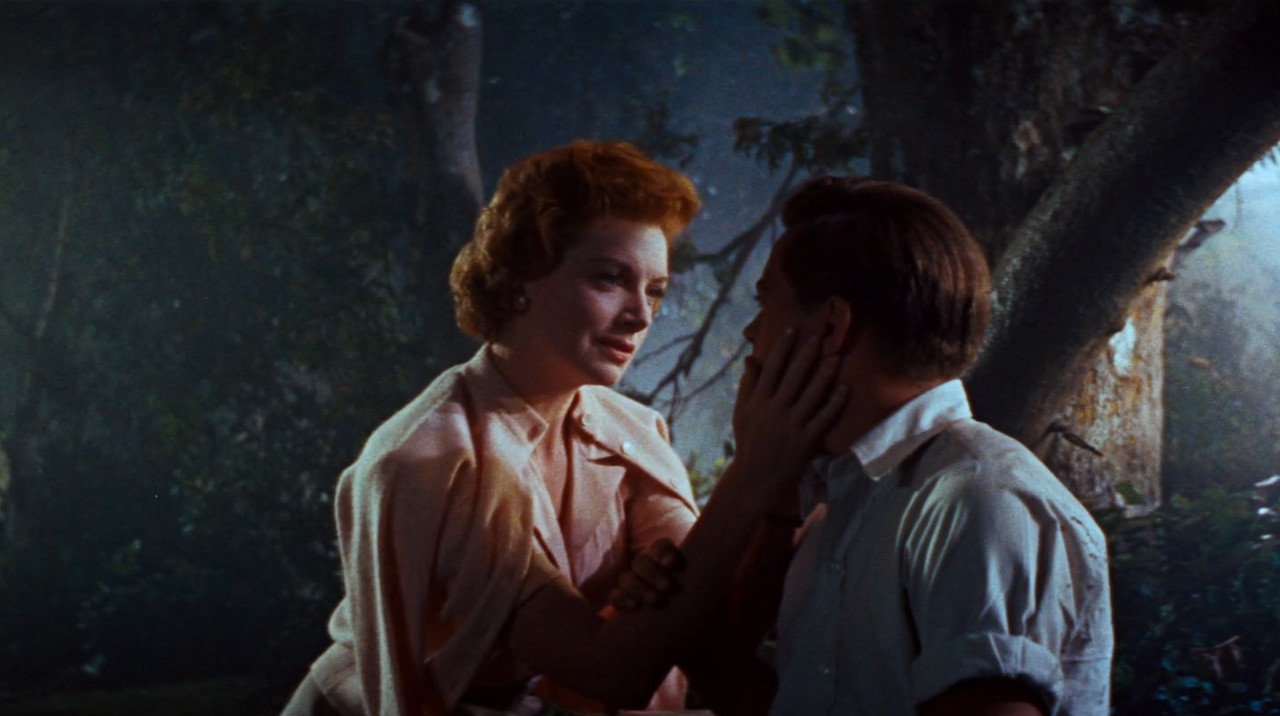 Filme: "Tea and Sympathy" (1956), Vincente Minnelli