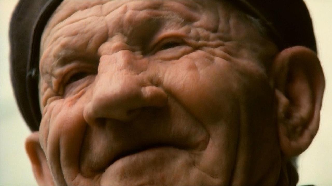 Filme: "Hukkle" (2002), György Pálfi