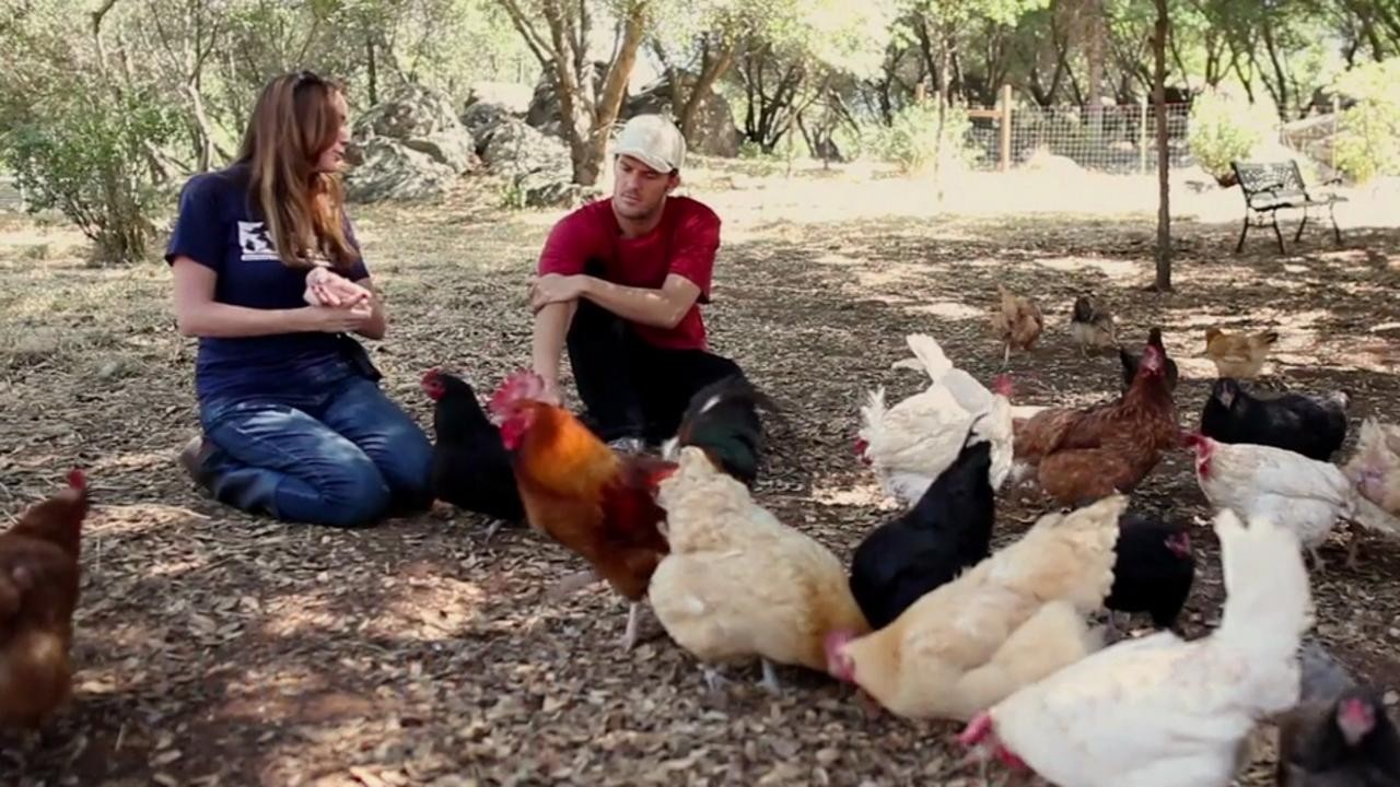Filme: "Cowspiracy: The Sustainability Secret" (2014), Keegan Kuhn, Kip Andersen