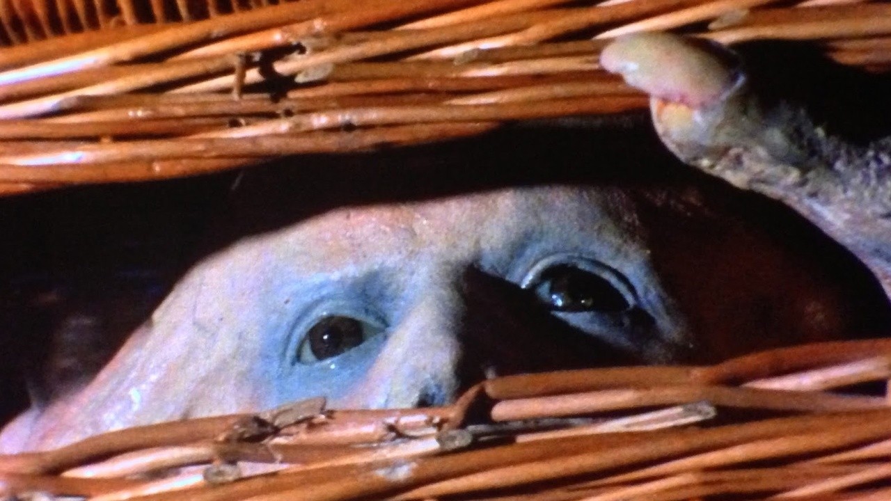Filme: "Onde os Gêmeos se Escondem" (1982), Frank Henenlotter