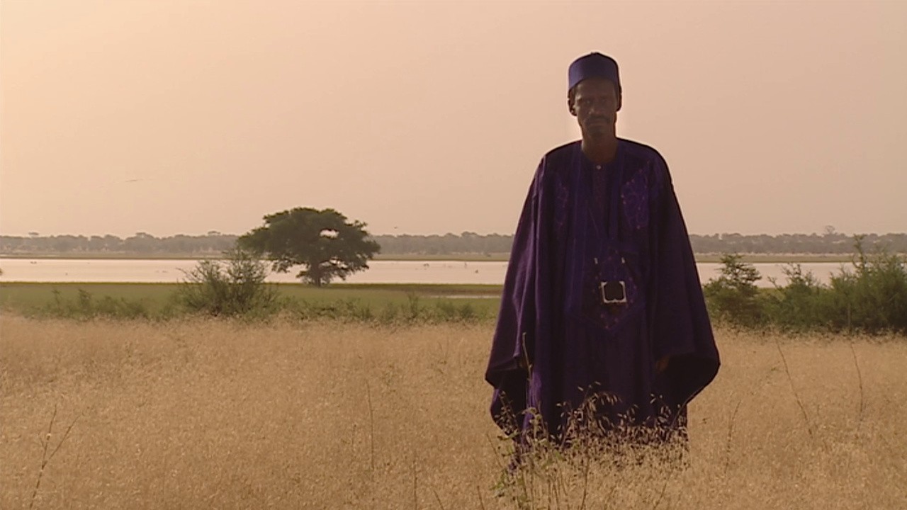 Filme: "Faraway Roots" (2002), Pierre-Yves Vandeweerd