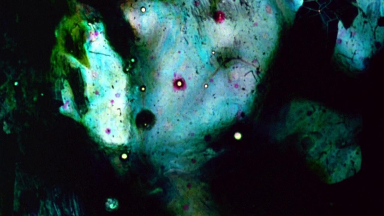 Filme: "Stellar" (1993), Stan Brakhage