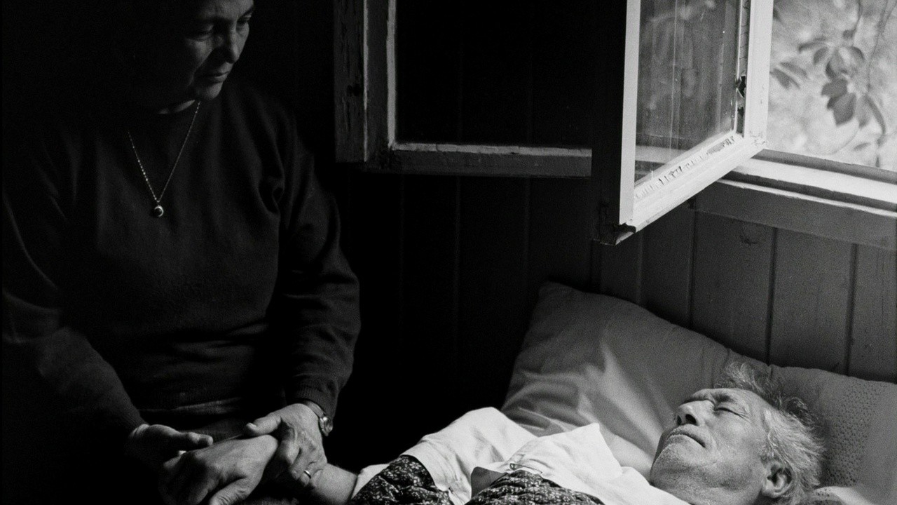 Filme: "Cocoon" (1995), Nuri Bilge Ceylan