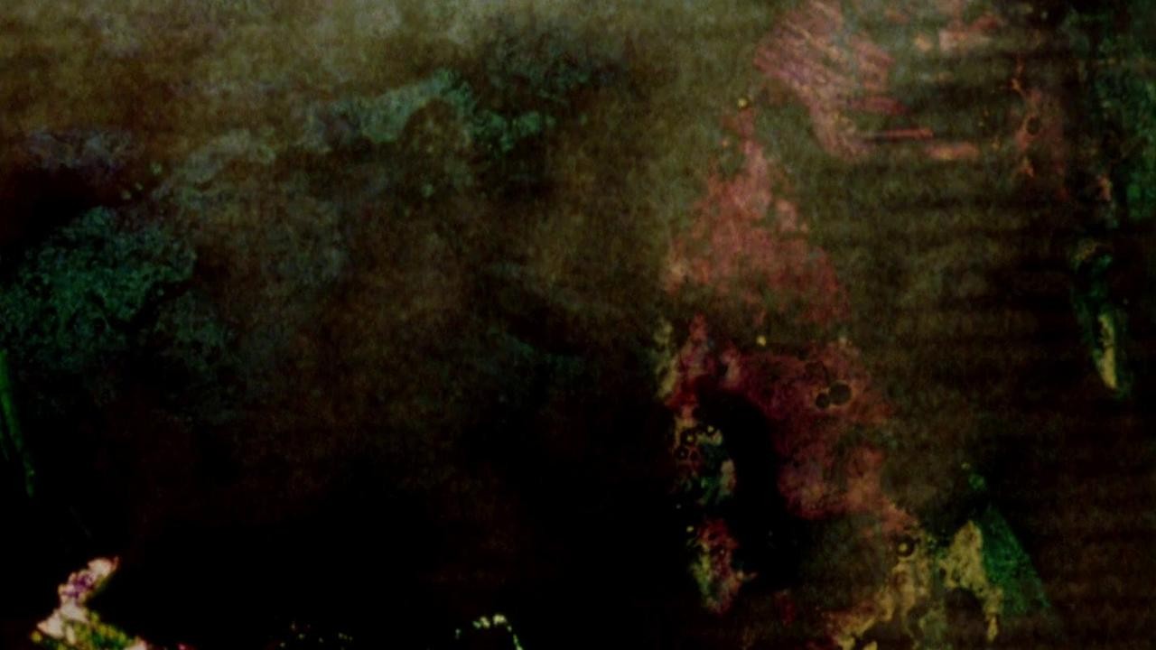 Filme: "Delicacies of Molten Horror Synapse" (1991), Stan Brakhage