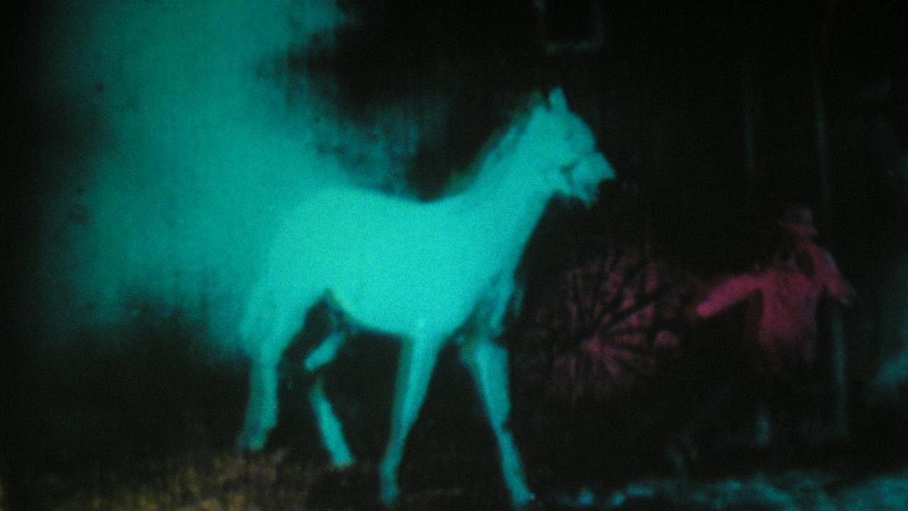 Filme: "Berlin Horse" (1970), Malcolm Le Grice