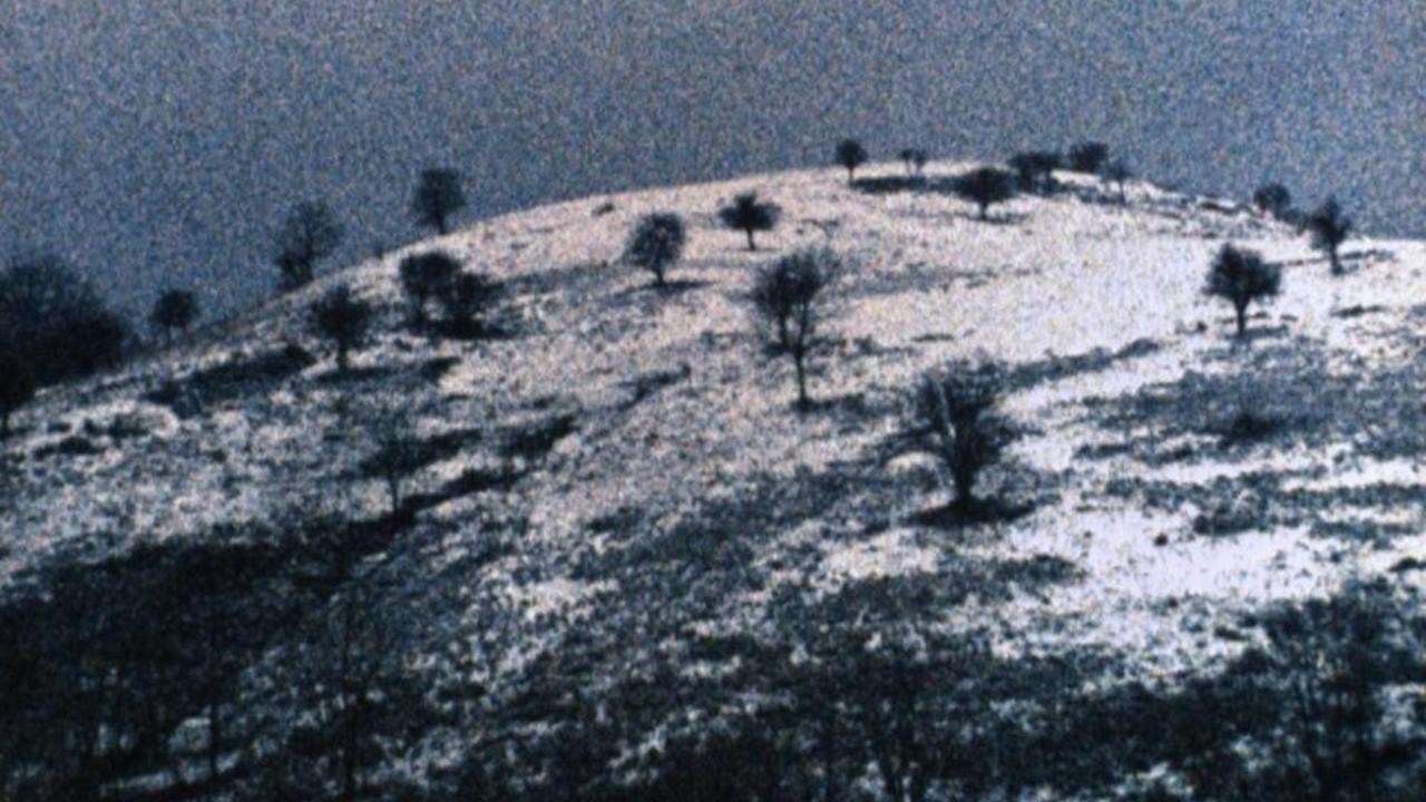 Filme: "differently, Molussia" (2012), Nicolas Rey